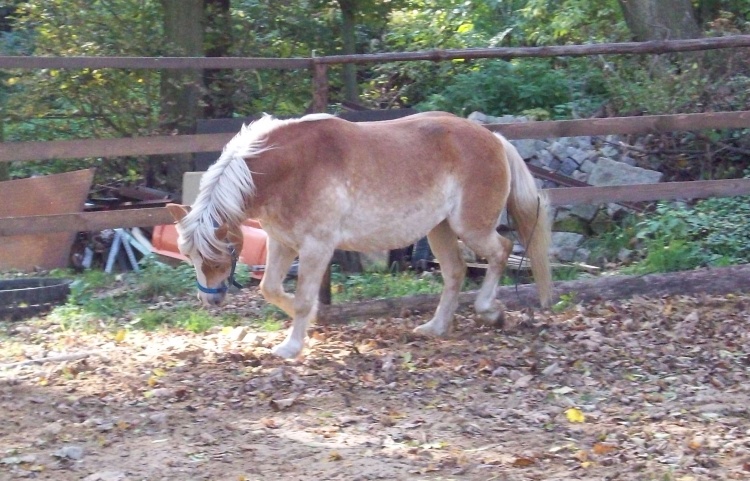Snímek 162